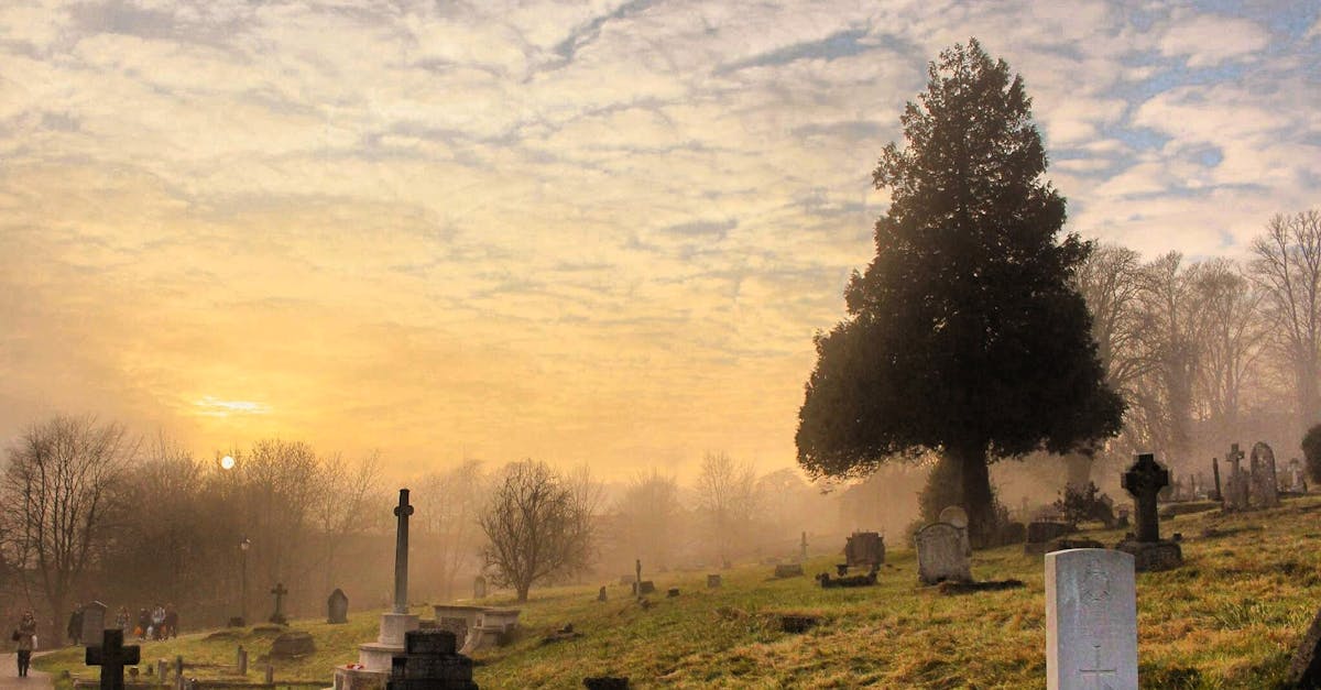 découvrez nos cours d'anglais conçus pour tous les niveaux ! améliorez vos compétences linguistiques avec des méthodes interactives et des professeurs expérimentés. inscrivez-vous dès aujourd'hui pour maîtriser l'anglais à votre rythme.